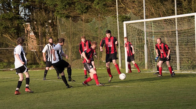 国家致力于 国家致力于