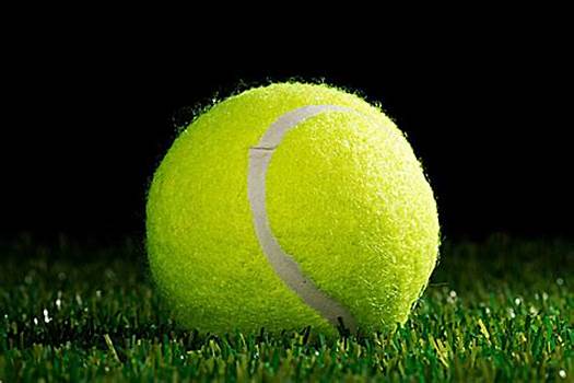 乌克兰的经 乌克兰的经