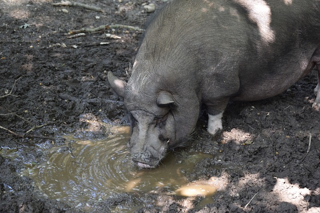 面对激烈的 面对激烈的