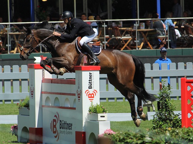 日益激烈的 日益激烈的